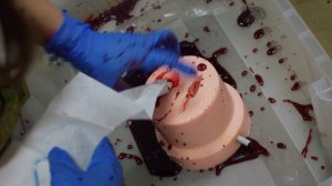 Премия губернатора Мы рядом