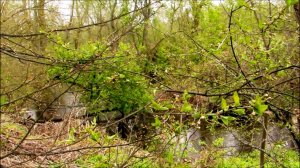 Весна. Склон у реки.