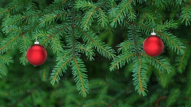 Иммерсивное видео. Новогоднее
