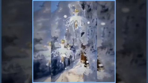 video_10101158382084.mp4