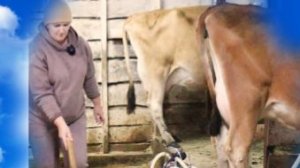 Быкова валит из деревни?