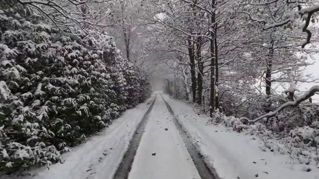 14 декабря - Тайная сила. Как изменить все и притянуть, что важно.
