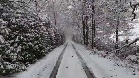 14 декабря - Тайная сила. Как изменить все и притянуть, что важно.