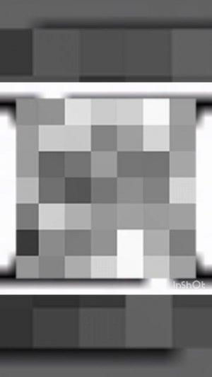 InShot_20251203_225641089