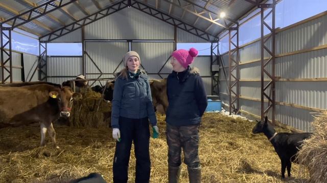 Подвели итоги 2021 года! Стройка, учёба, увеличение поголовья | Молодая Ферма