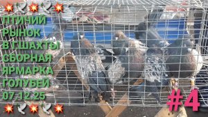 💥🕊💥 07.12.25 Сборная ярмарка голубей в г.Шахты. Птичий рынок. Часть 4. Pigeons Fair. Bird Market.