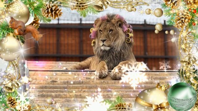 Мистер SuperStar - 2025. Шерхан Мамаевич Минский