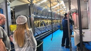 Экскурсия по агрокомплексу. Рассказ директора о содержании крс на ферме.