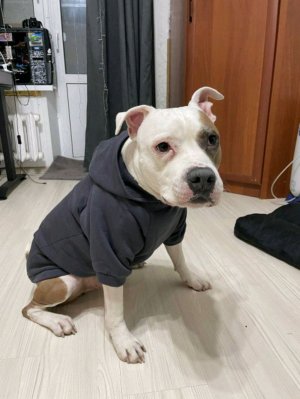 Игра в Minecraft с модами