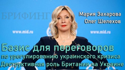 Базис для переговоров. Роль Британии - Олег Шелехов на брифинге МИД
