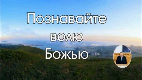 Воля Божья 🙏 Проповедь МСЦ ЕХБ