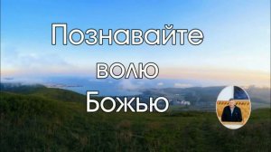 Воля Божья 🙏 Проповедь МСЦ ЕХБ