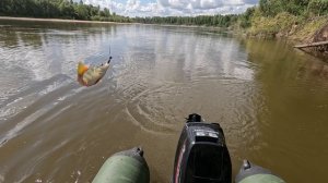 🎣ХОРОШ🎣fishing#туризм#природа#ловля#рыбалка#щука#ловлящуки#ночевка#Чулым#река#спиннинг