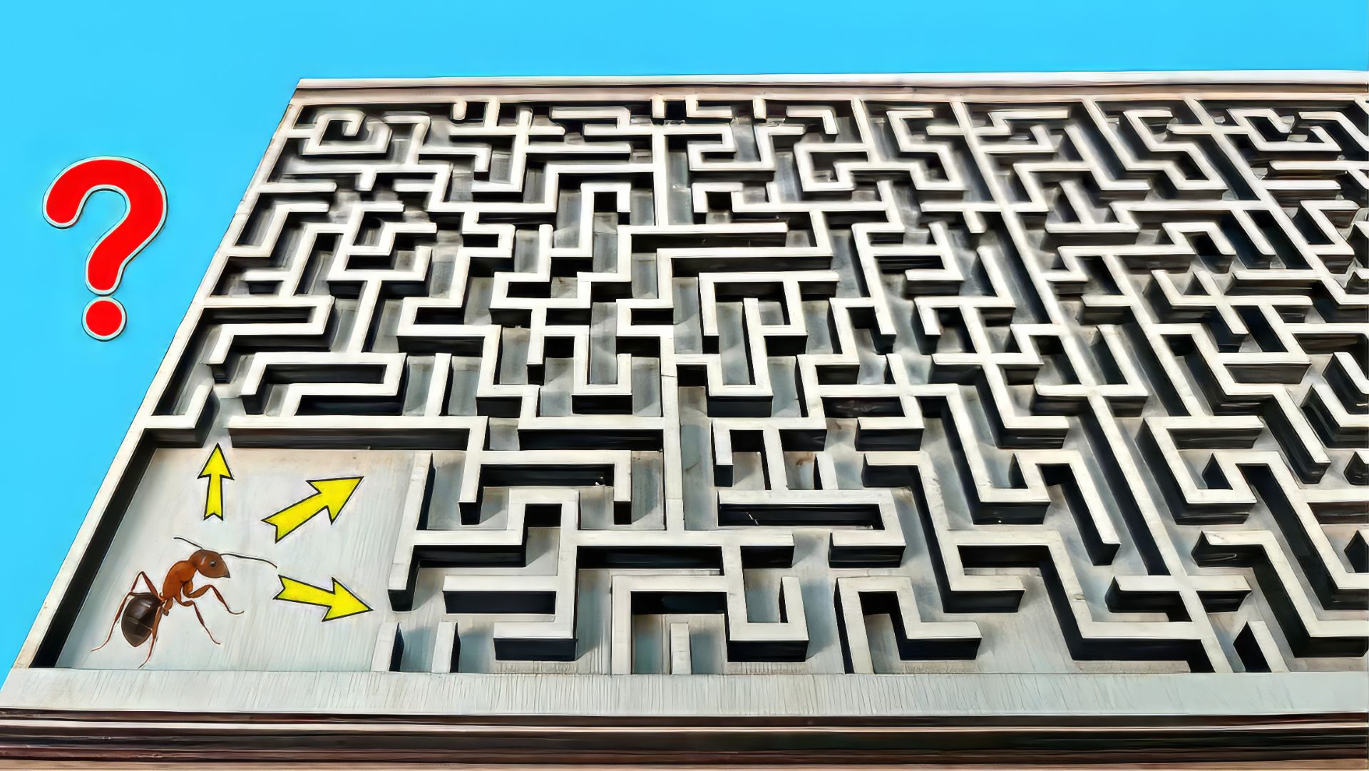 Найдет ли Муравей выход из сложного Лабиринта ?