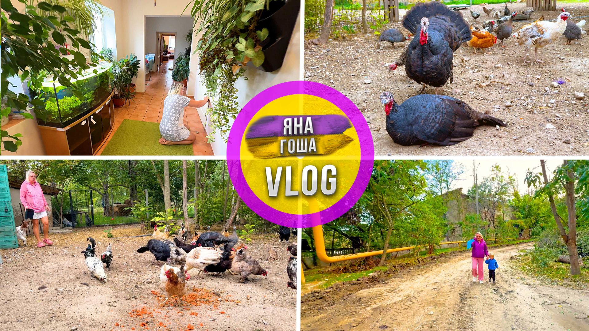 Ферма: Что будет с молодой козочкой? Индюки опять не те? Ферма. Крым всё краше! Уборка дома.