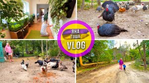 Ферма: Что будет с молодой козочкой? Индюки опять не те? Ферма. Крым всё краше! Уборка дома.