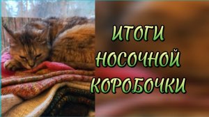 Сколько связано носков в 2025г. Итоги в СП Носочная коробочка-5