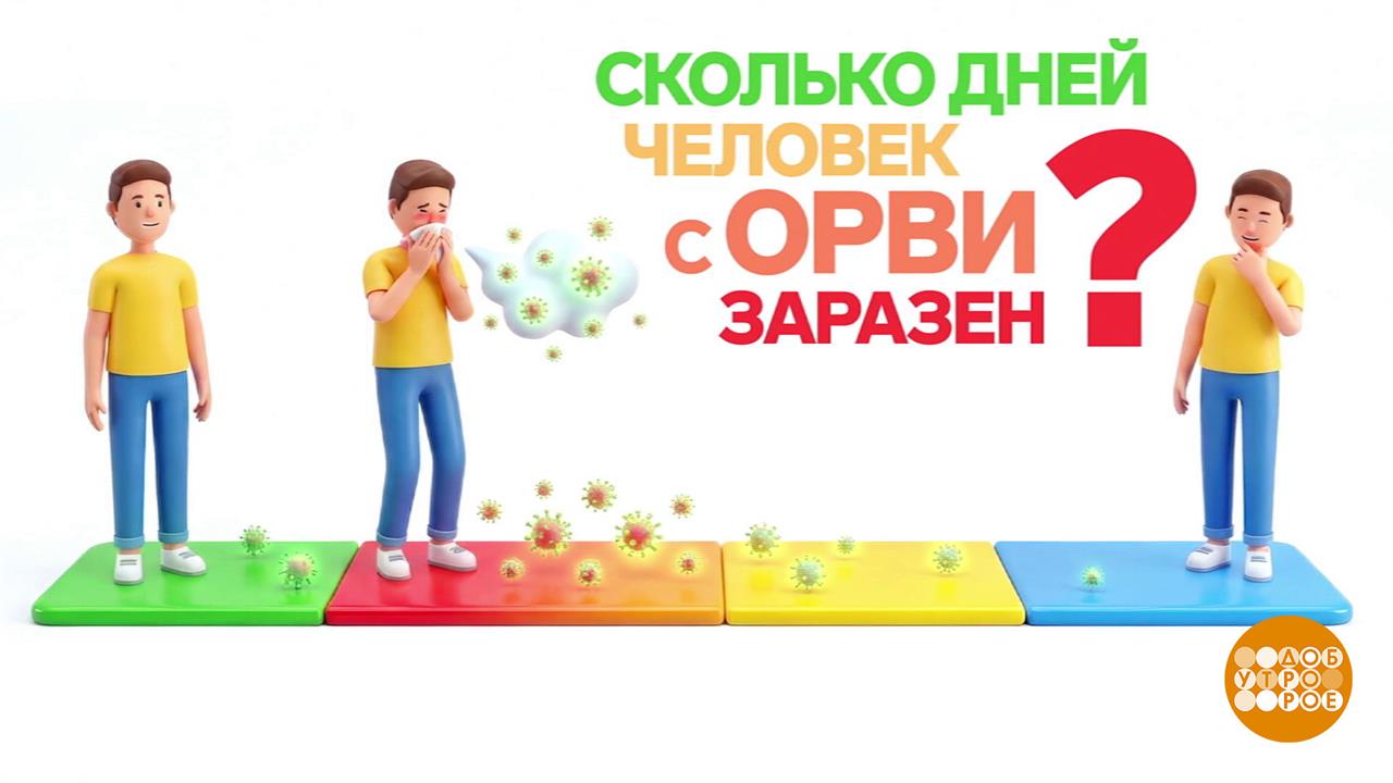 ОРВИ: правда и мифы. Доброе утро. Суббота. Фрагмент выпуска от 13.12.2025