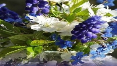 День рожденья.