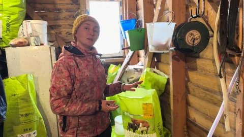 Будни на ферме! Уезжает помощник! Осеменяем двойняшек- голштинок!