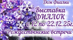 ВЫСТАВКА ФИАЛОК с12 по 22 декабря 2025 "Рождественские встречи" в московском Доме Фиалки