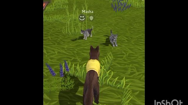 Мини фильм Wildcraft "Дух" 1 серия смотреть онлайн