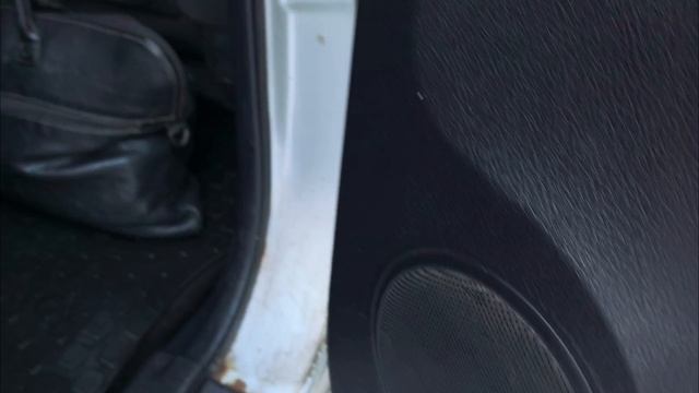 petal_20251213_153034.mp4