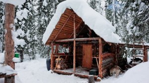Живу в ТАЙГЕ с ДЕВУШКОЙ | Натопили БАНЮ и ПРЫГАЕМ В СНЕГ