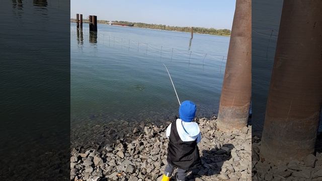 гниловской канал Ростовская область ловля окуня #окунь