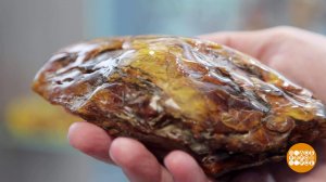 Янтарь, я тебя узнал! Доброе утро. Суббота. Фрагмент выпуска от 13.12.2025