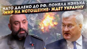 НАТО не умеет воевать, поняли в Киеве!  Незалежная станет самой нищей страной в мире!