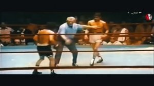 ЖЕСТЬ! Нокауты, После Которых Никто Не Двигался…