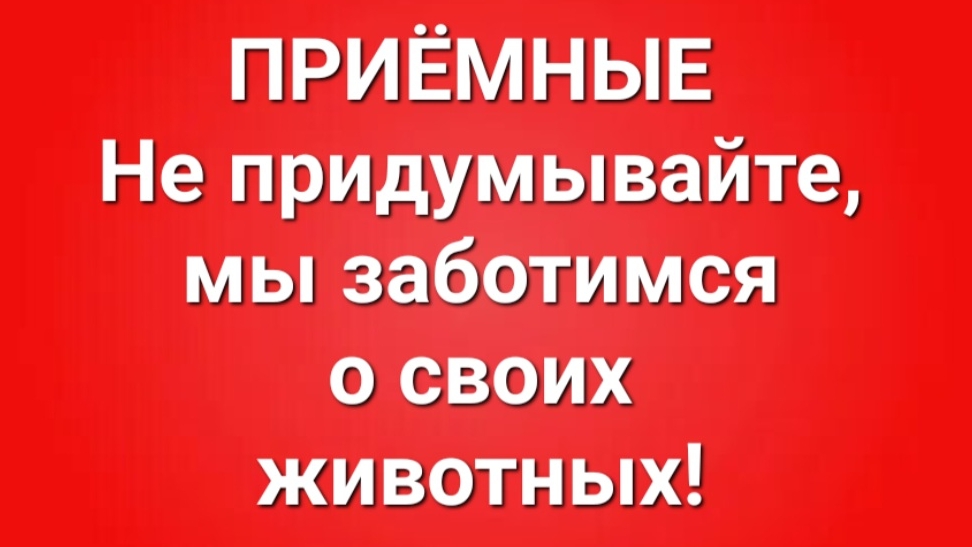Приёмные/В последних сериях.