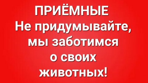 Приёмные/В последних сериях.