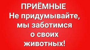 Приёмные/В последних сериях.
