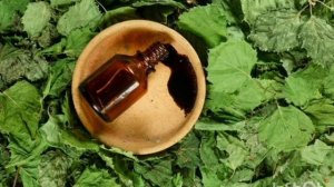 Берёзовый деготь