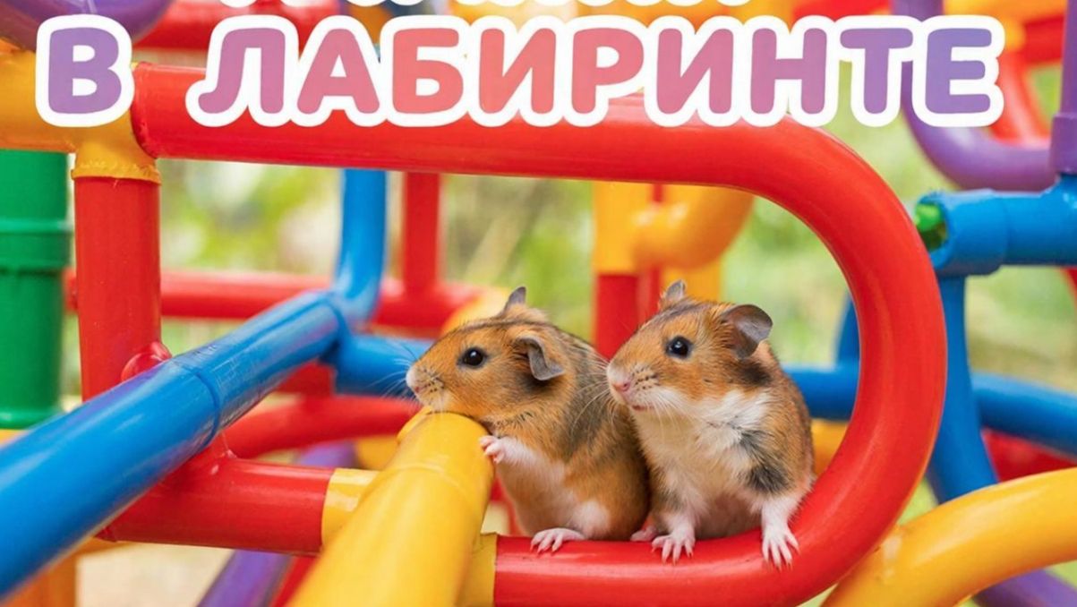 РАЗВЛЕКАТЕЛЬНОЕ ВИДЕО ДЛЯ ДЕТЕЙ