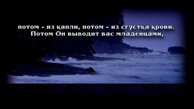Сура 40 "Гъафир" Аяты 59-77, красивое чтение Корана