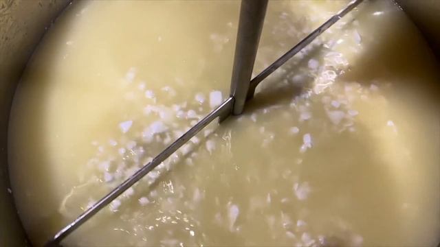 Простой пошаговый рецепт СЫРА Качотта. Сыроварня Доктор Губер в деле! Молодая Ферма