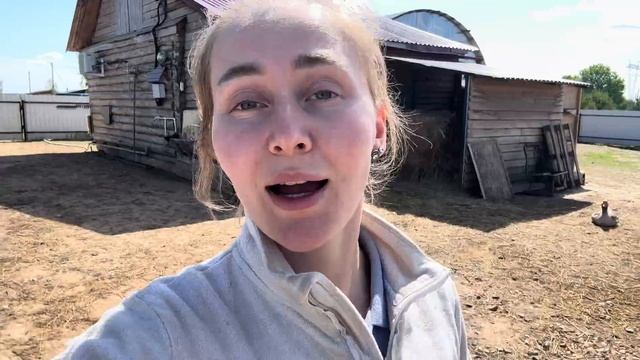 Наводим порядок на ферме! Дойка коров, выпас животных и вылупы цыплят!