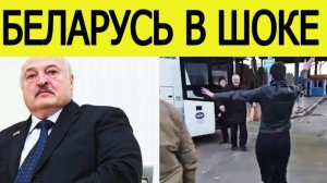 В Беларуси началось массовое освобождение политзаключённых. Главные оппозиционеры на свободе