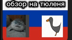 Обзор на тюленя