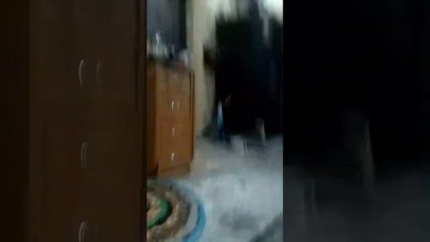 Сборник Шортсов #15