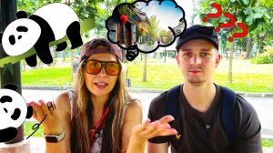 Пересадка в Чэнду 🇨🇳: Заповедник с пандами 🐼 или прогулка по городу 🌇 ?