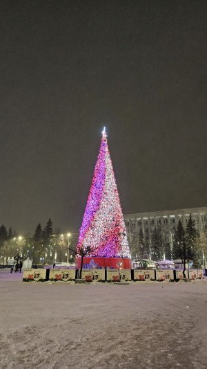 Кемерово. прогулка перед Новым Годом