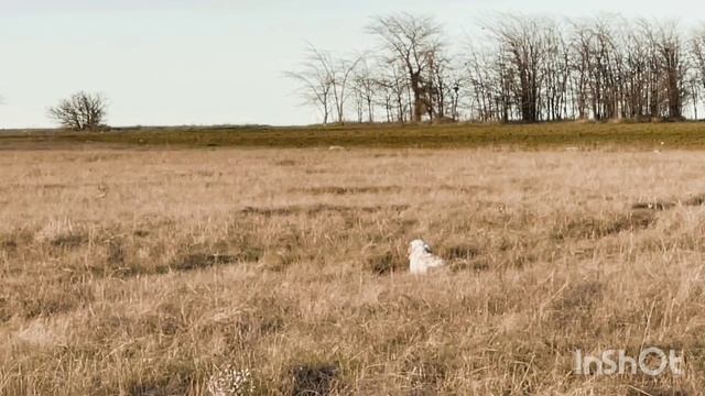 Федора. 13.12.25