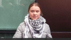 СМИ сообщили о возбуждении уголовного дела в отношении Греты Тунберг