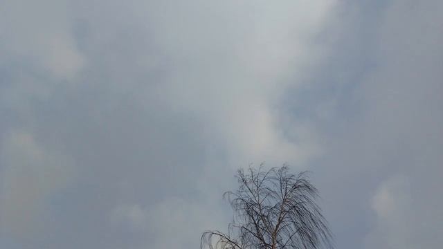 Наши любимые животные😘