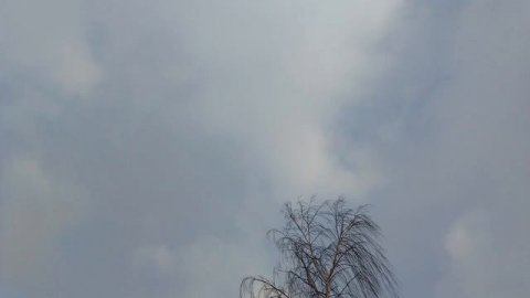 Наши любимые животные😘