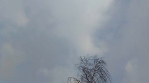 Наши любимые животные😘